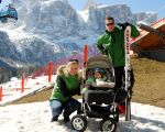 Zielone TRIO